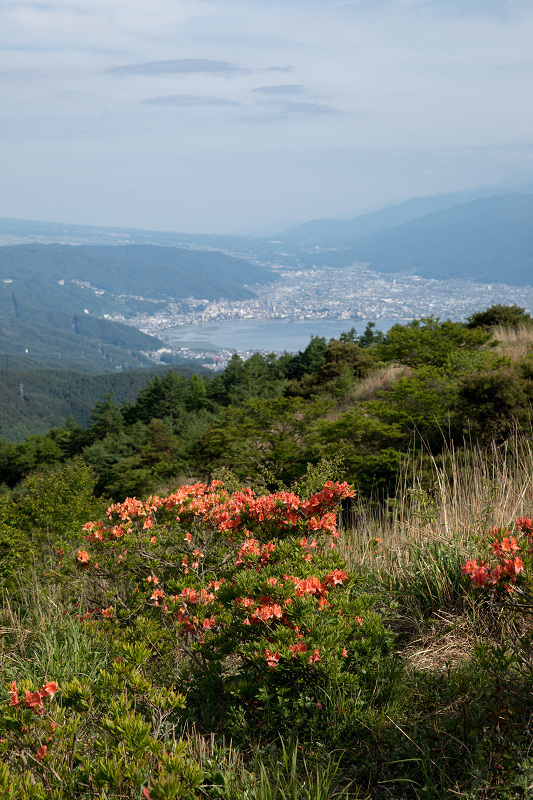 1080AO5A0070-1.jpg