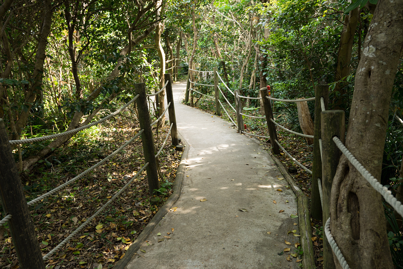 1080DSC05678-1.jpg