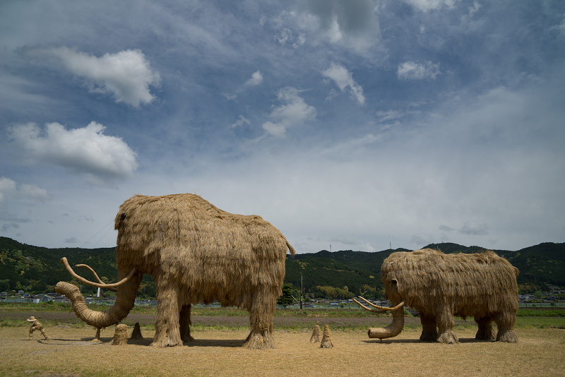 1080DSC05804-1.jpg