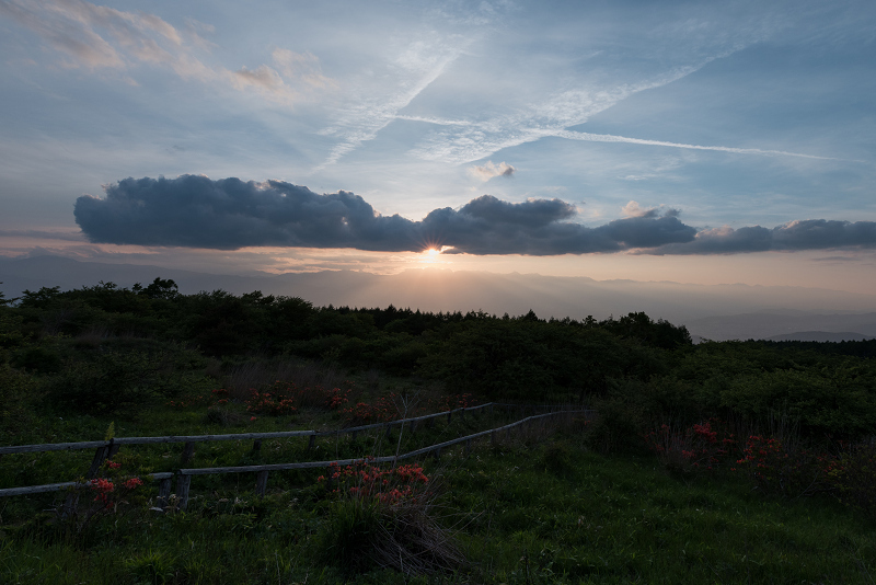 1080DSC_0034-1.jpg