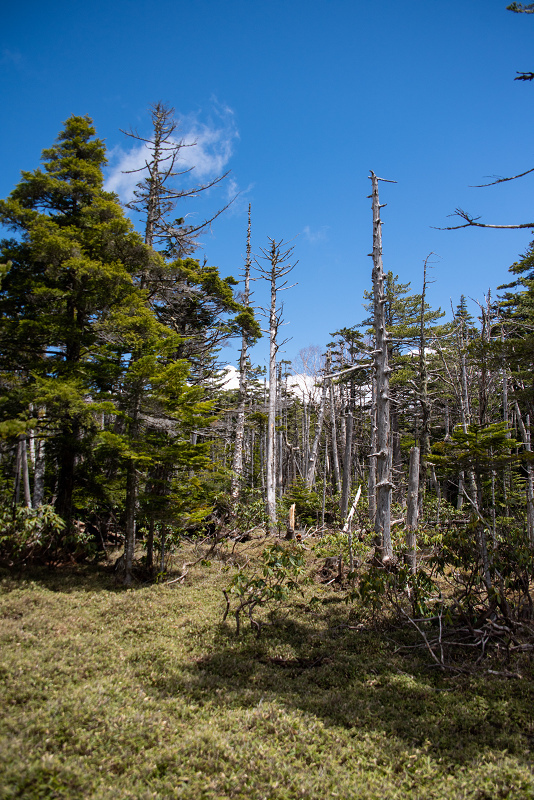 20180504-810_8464r.jpg