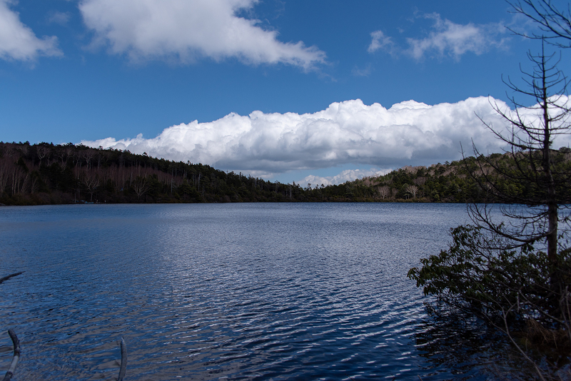 20180504-810_8469r.jpg