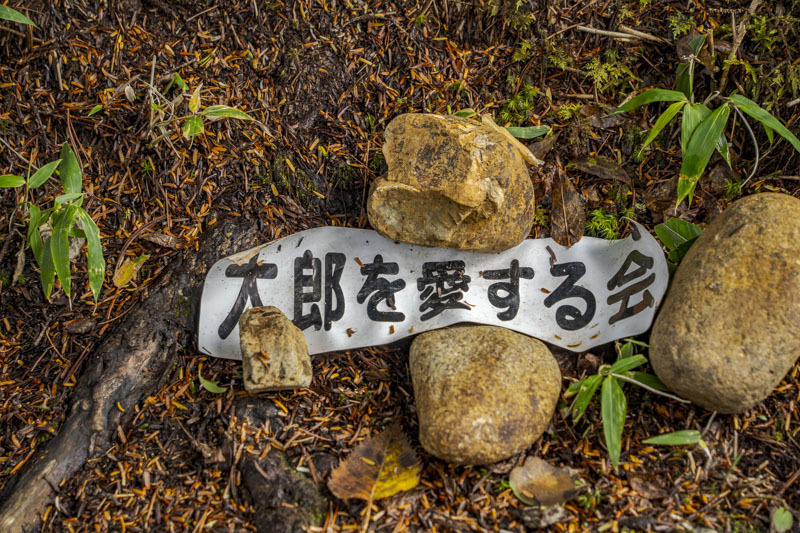 A7200021.jpg