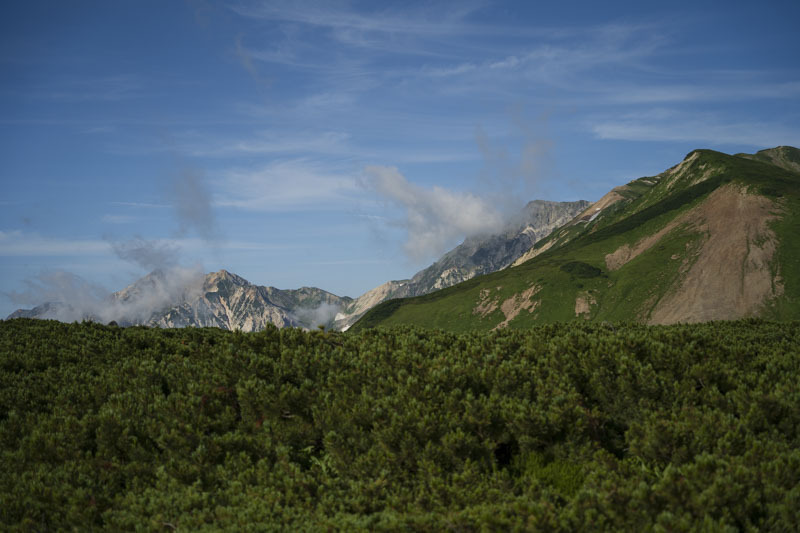 A7200582.jpg