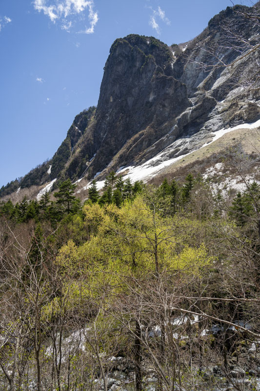 A7202001.jpg