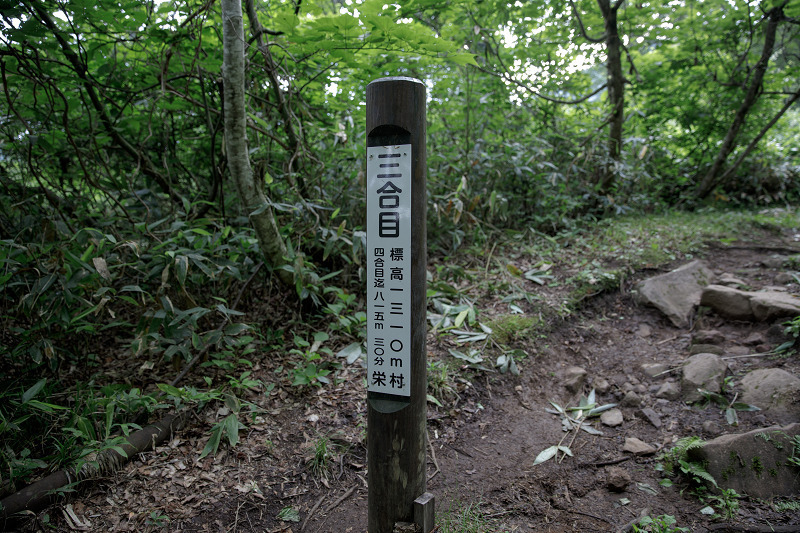 AO5A2074-1r.jpg
