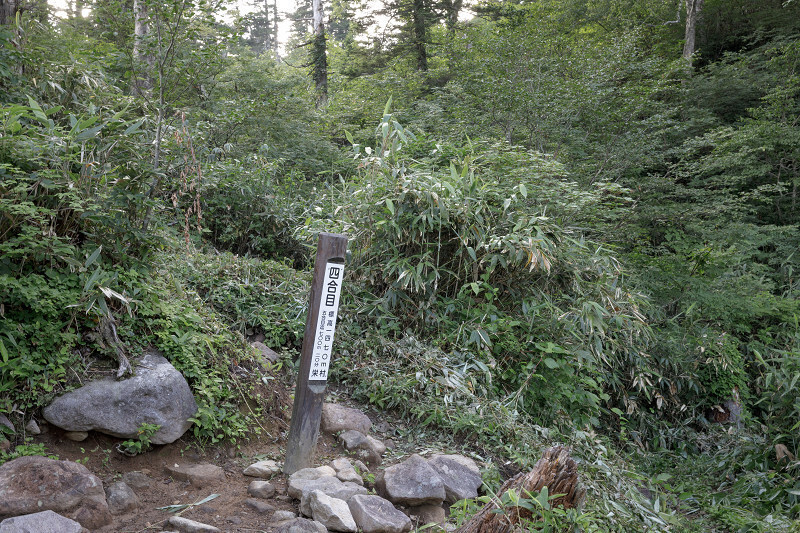 AO5A2077-1r.jpg