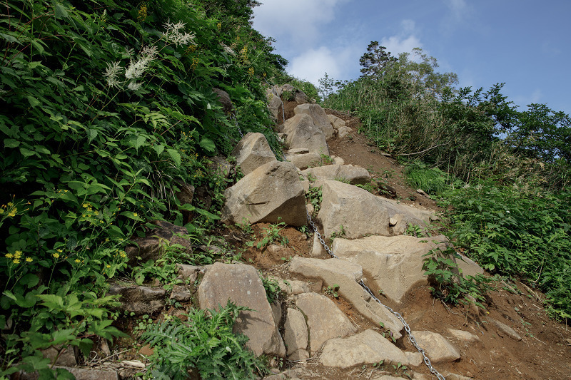 AO5A2094-1r.jpg