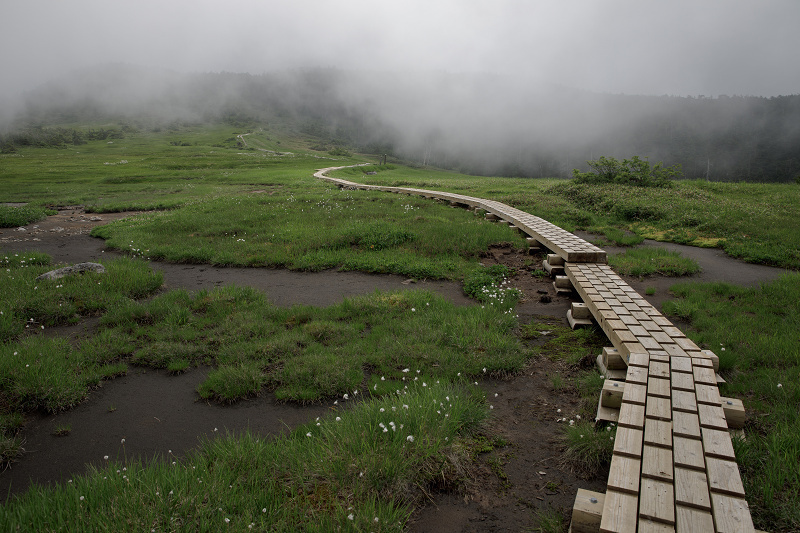 AO5A2145-1r.jpg