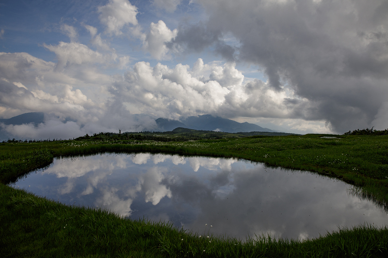 AO5A2385-1r.jpg