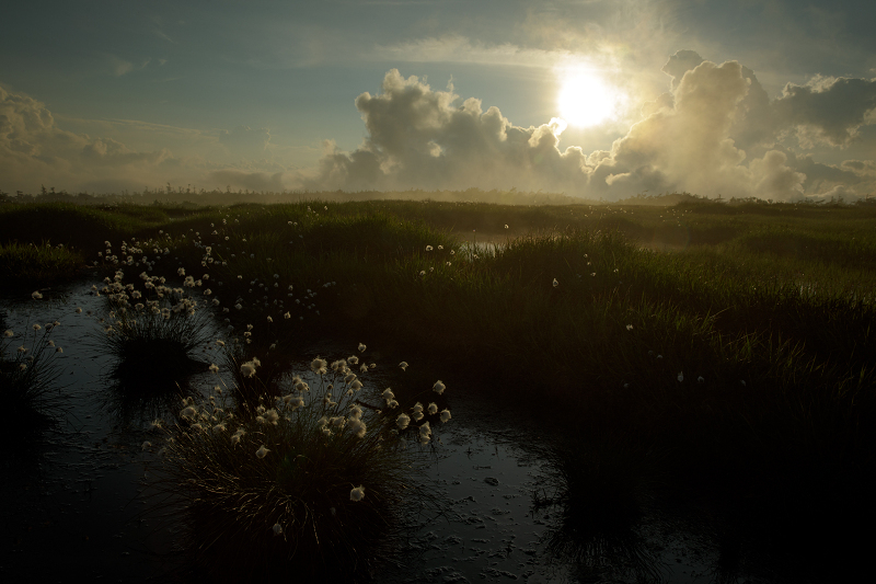 AO5A2543-1r.jpg