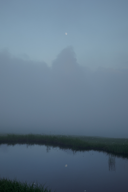 AO5A2645-1r.jpg