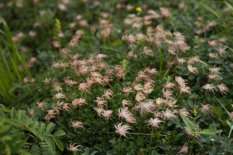 AO5A2946-1r.jpg