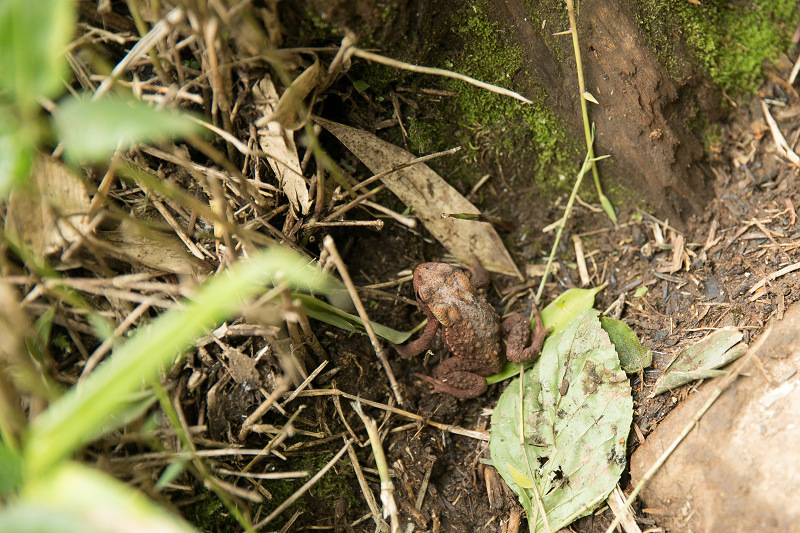AO5A2981-1r.jpg