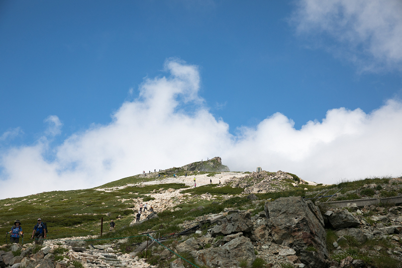 AO5A3382-1r.jpg