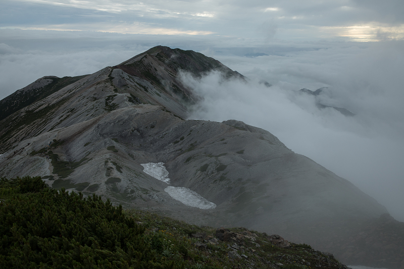 AO5A3487-1r.jpg