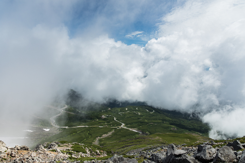 AO5A3540-1r.jpg