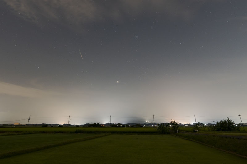 DSC00385-強化-NR.jpg