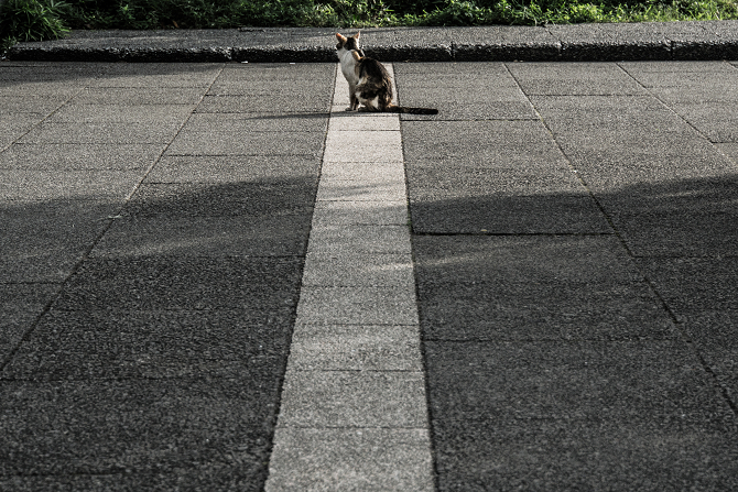 DSC00429-1s.jpg