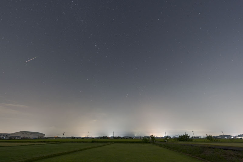 DSC00659-強化-NR.jpg