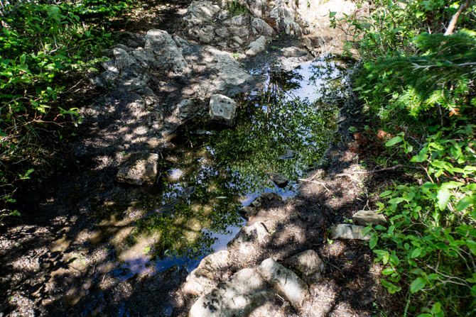 DSC01114-1.jpg