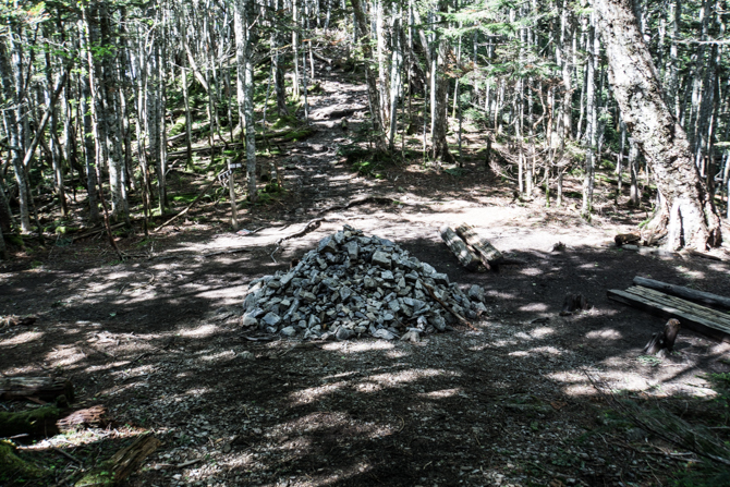 DSC01119-1.jpg
