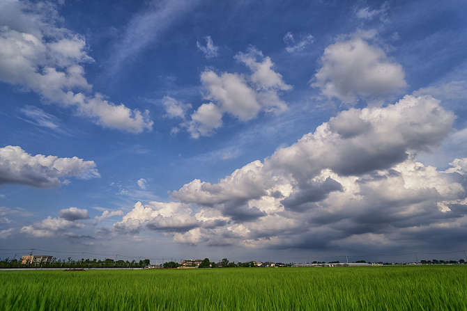 DSC01930-Edit-1s.jpg