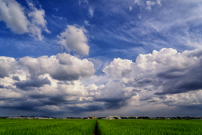 DSC01944-Edit-1s.jpg