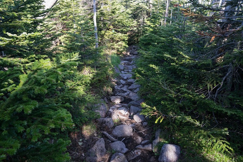 DSC03208-1s.jpg
