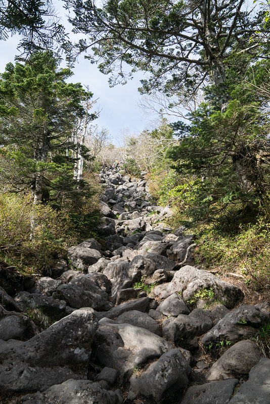 DSC03241-1s.jpg