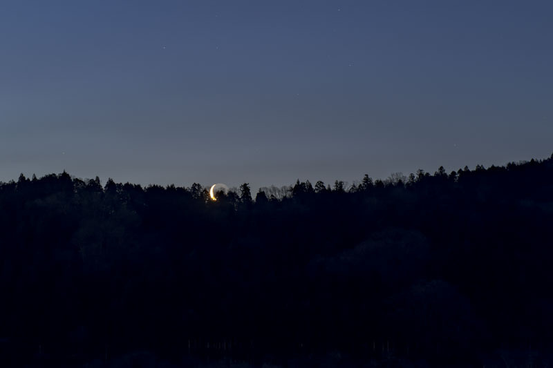 DSC03341-ARW_DxO_DeepPRIME.jpg