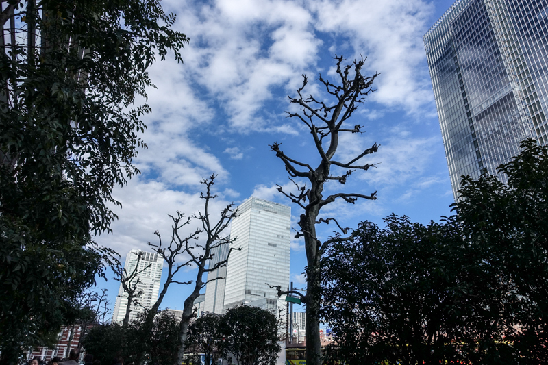 DSC03444-1.jpg