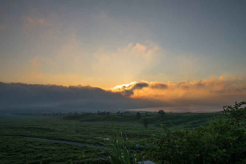 DSC06486-1s.jpg