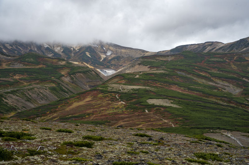 DSC06517.jpg