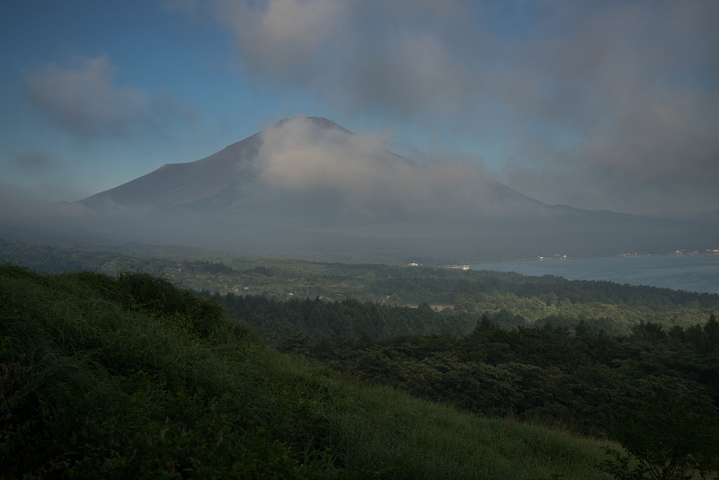 DSC06571-1s.jpg