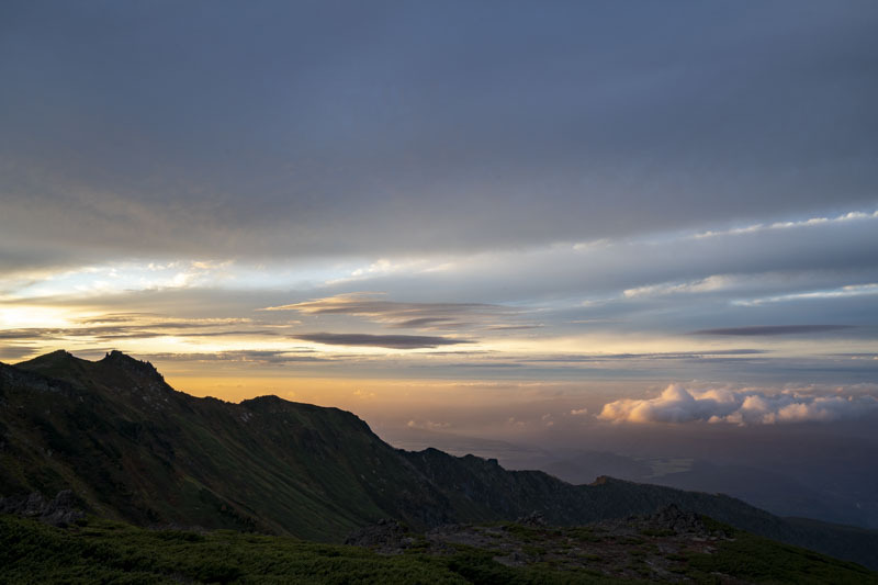DSC07011.jpg