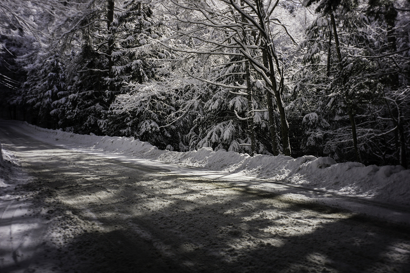 DSC07012-1s.jpg