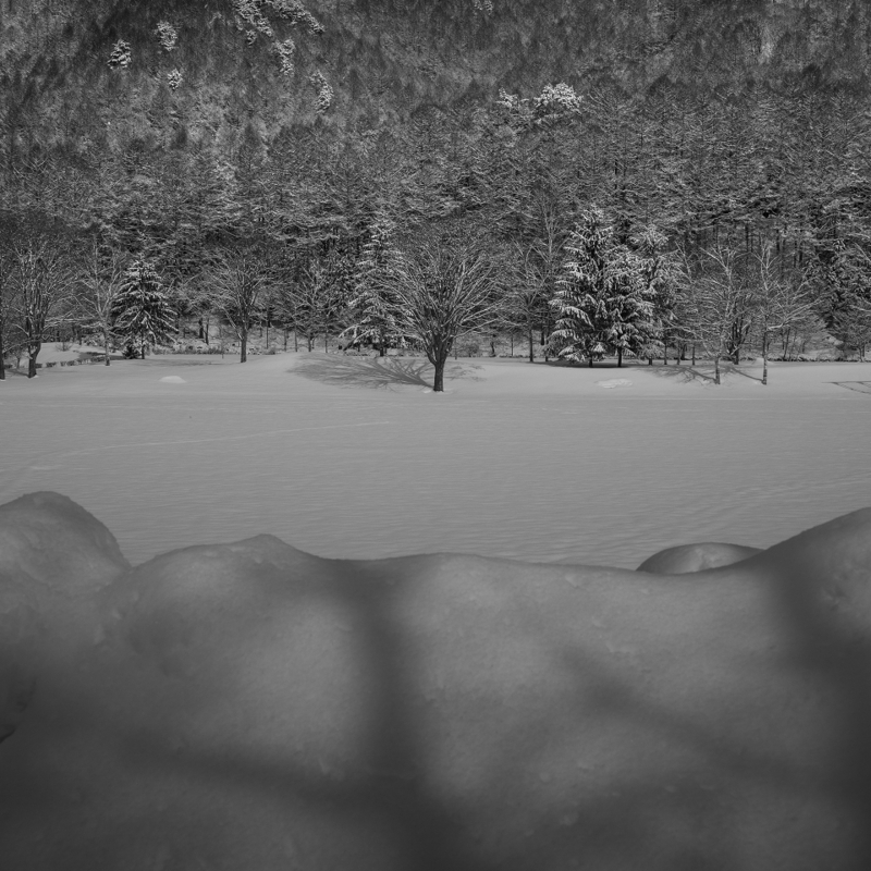 DSC07035-Edit-1s.jpg