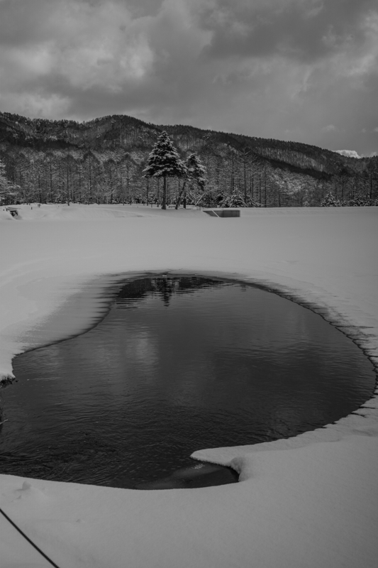DSC07038-1s.jpg