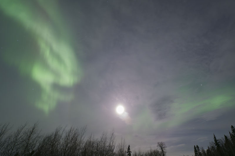 DSC07215-ARW_DxO_DeepPRIME.jpg