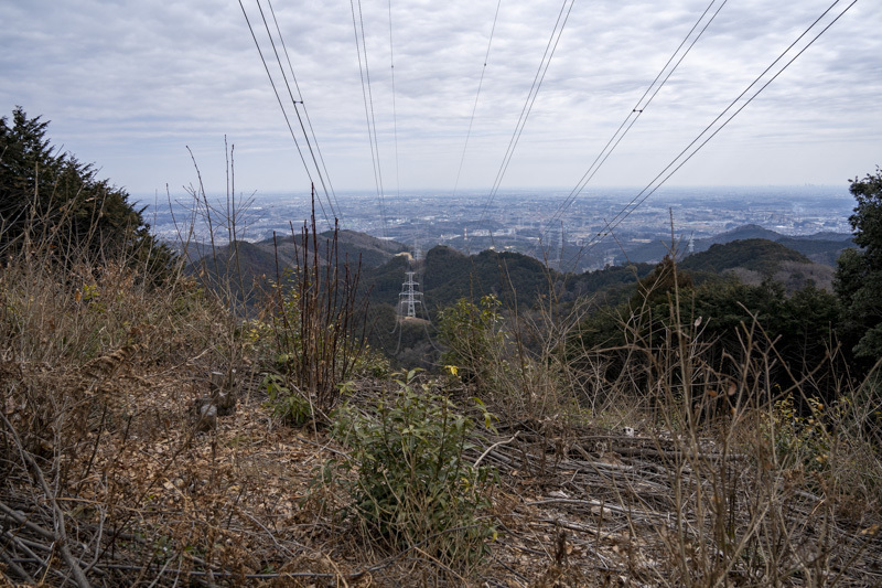 DSC07217.jpg