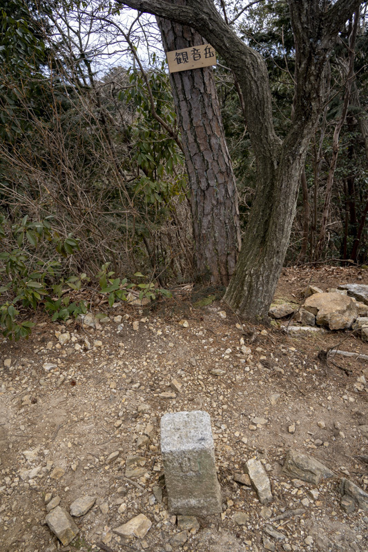 DSC07237.jpg