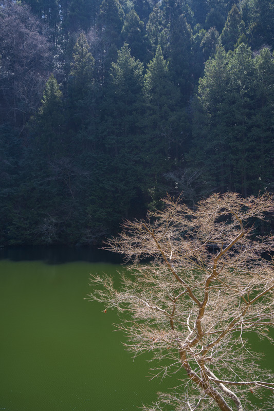 DSC07286.jpg