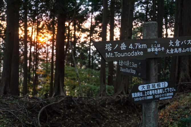 DSC08466-1.jpg