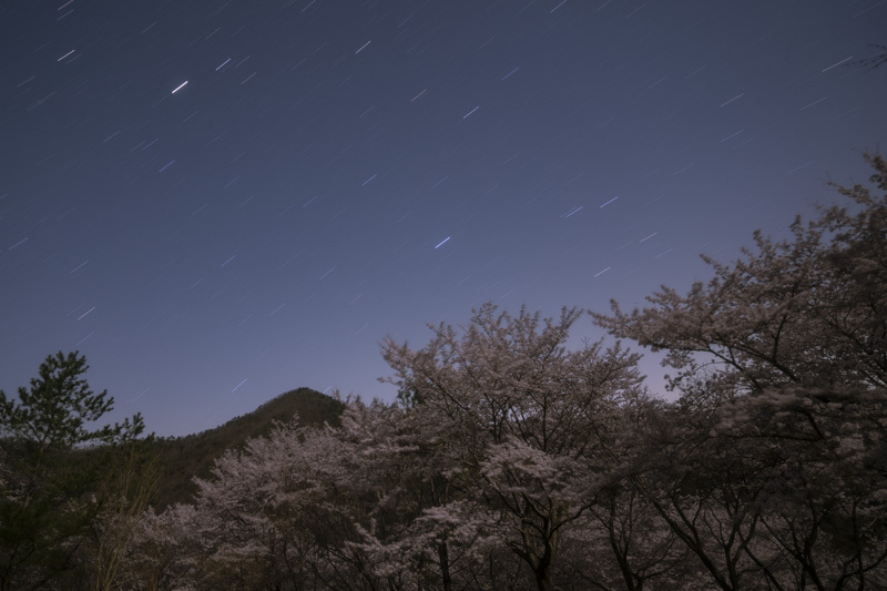 DSC08517.jpg