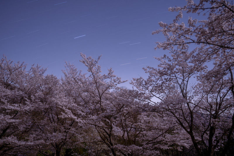 DSC08527.jpg