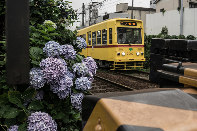 DSC08553-1s.jpg