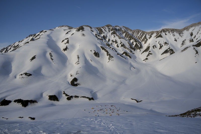 DSC08593.jpg
