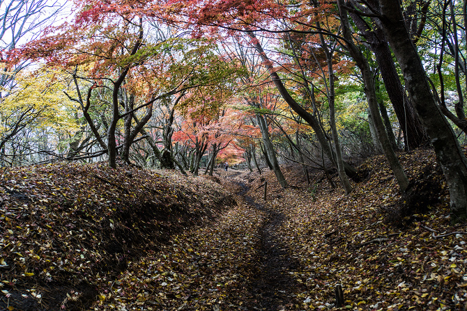 DSC08662-1s.jpg