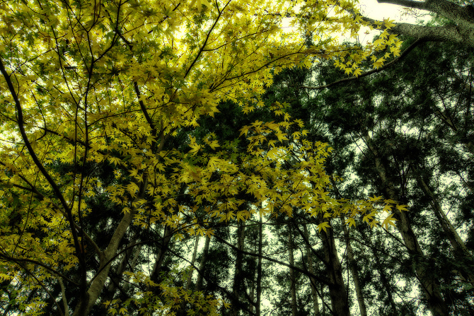 DSC08705-Edit-1s.jpg